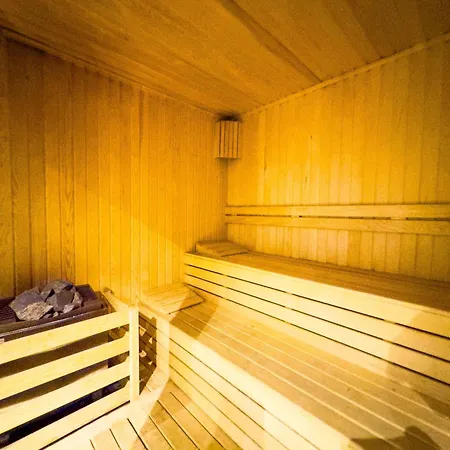 Qoople Saga Designer In The Heart Of *