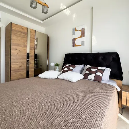 Qoople Saga Designer In The Heart Of Apartment