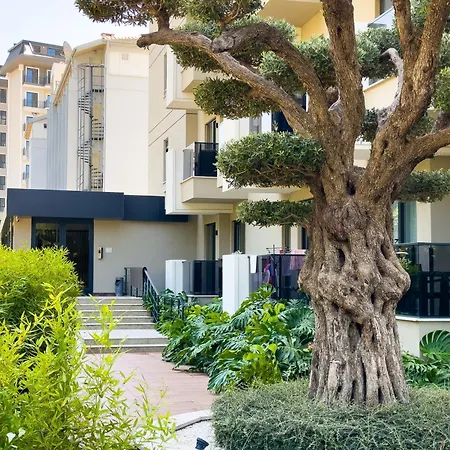 Qoople Saga Designer In The Heart Of * Alanya