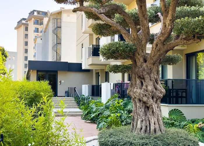 Qoople Saga Designer In The Heart Of * Alanya